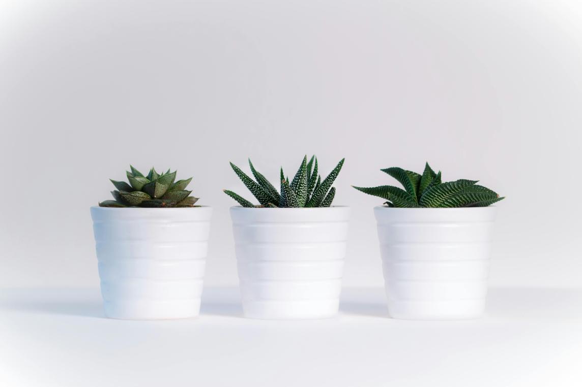 Plant pot 3pcs